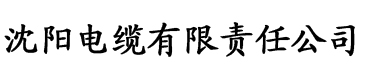 xxxx片百度影音电缆厂logo